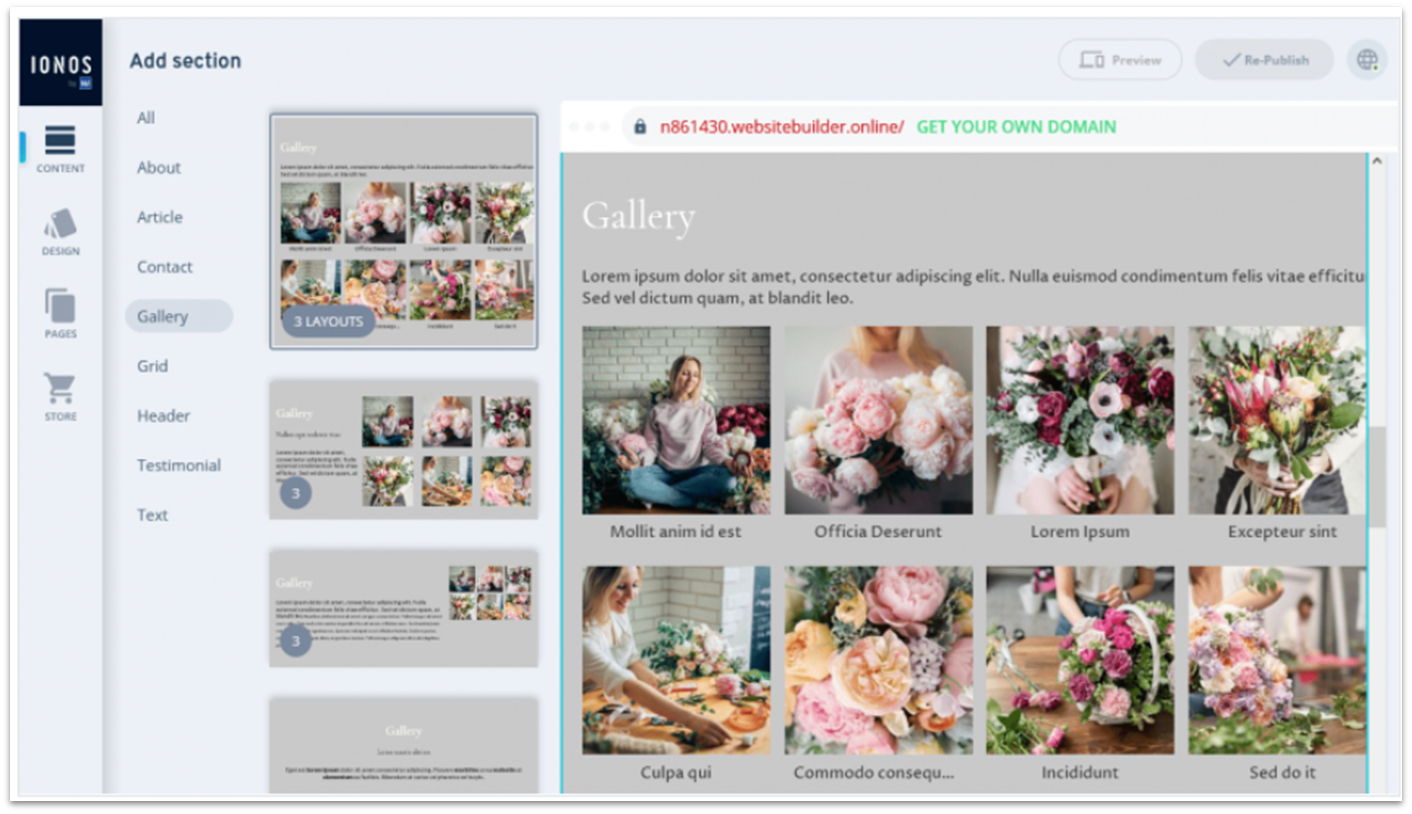 IONOS website builder adding a section