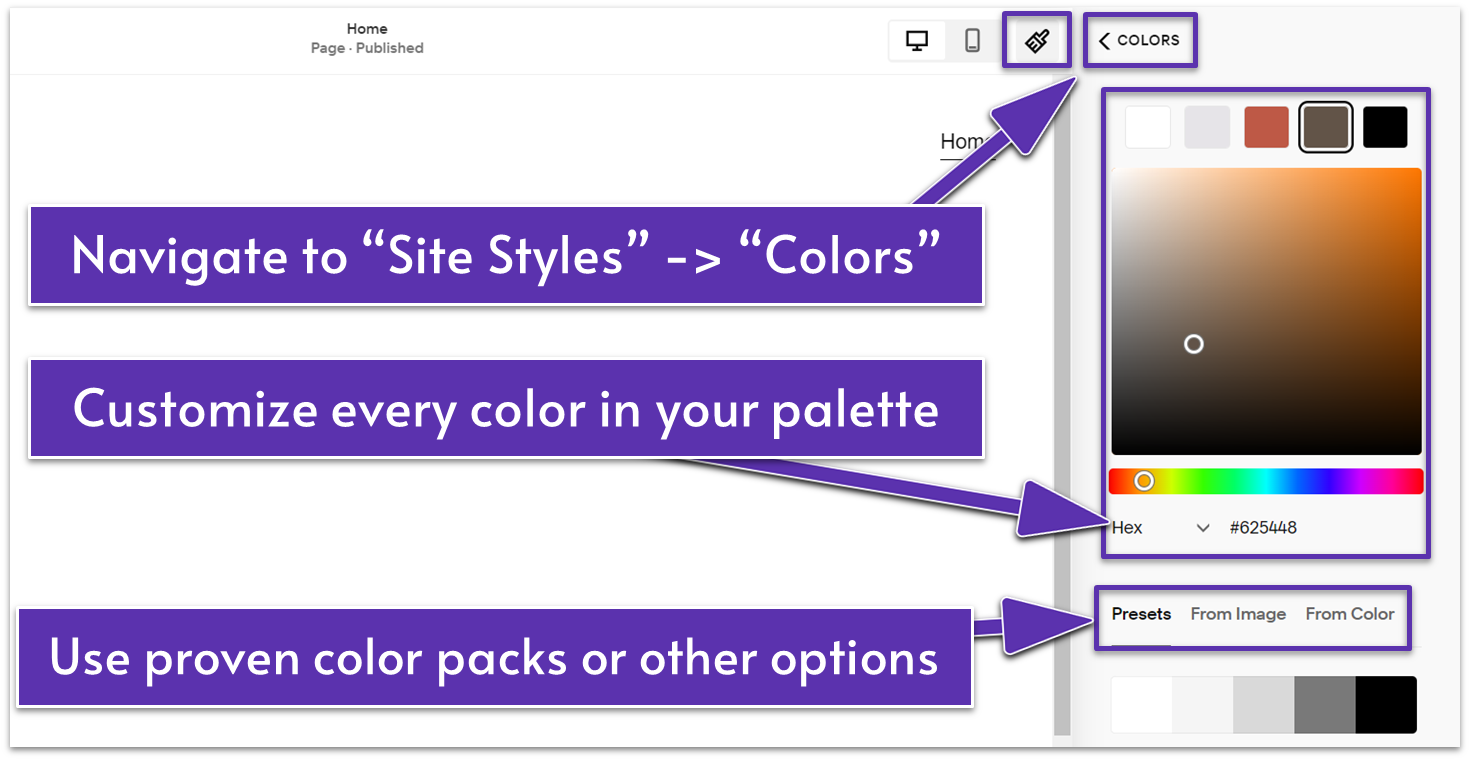 A screenshot from the Squarespace editor showing how to access color settings